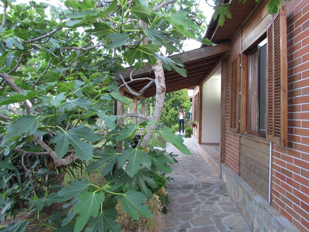 Villas And Bungalows Panorama Černomorec Exterior foto